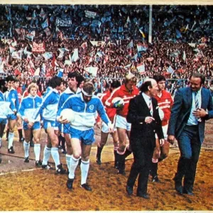 Brighton And Hove Albion FC: 1983 FA Cup Final