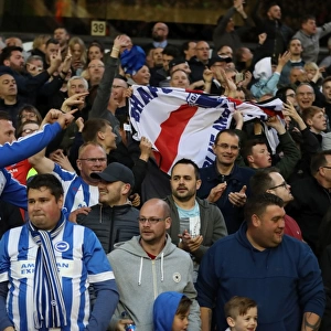 Brighton & Hove Albion Fans Passionate Support at Molineux Stadium during EFL Sky Bet Championship Match vs. Wolverhampton Wanderers (14th April 2017)