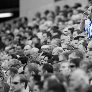 Crowd Shots Mounted Print Collection: Crowd shots at the Amex - 2013-14