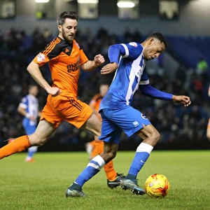 Brighton and Hove Albion vs Ipswich Town: A Battle in the Sky Bet Championship (29DEC15)