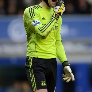 Petr Cech: A Premier League Masterclass in Goalkeeping - Everton vs. Chelsea, 2012