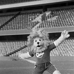 Stamford the Lion, 1980
