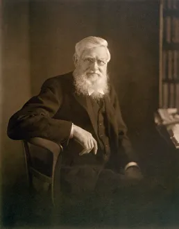 Alfred Russel Wallace K960210 Alfred Russel Wallace K960210