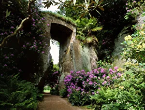Travel england/travel north east england/belsay quarry garden k021165 Travel england/travel north east england/belsay quarry garden k021165