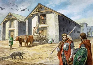 Birdoswald Roman Fort J050055