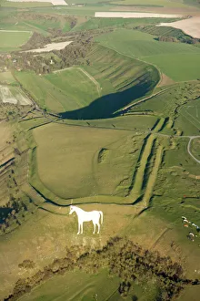 Bratton Camp & White Horse N070972 Bratton Camp & White Horse N070972