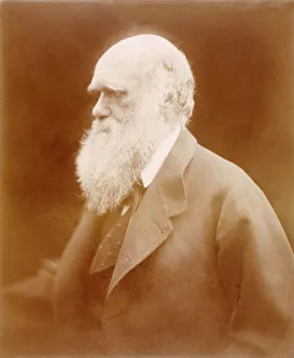Charles Darwin K980352 Charles Darwin K980352
