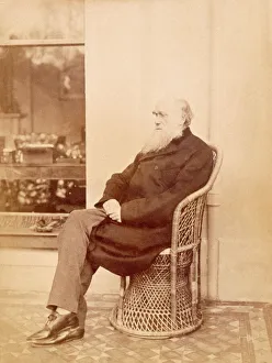 Charles Darwin on the verandah at Down House K970226 Charles Darwin on the verandah at Down House K970226