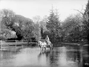Horse Collection: Crossing the pond CC73_01138