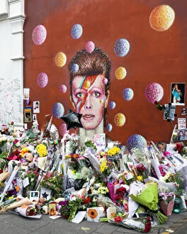 Street art portraits Collection: David Bowie mural, Brixton DP177779