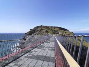 Tintagel Castle Footbridge Print