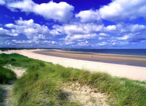 Explore England - Iconic Landmarks and Places to Visit: Budle Bay Print: Coastal View of Sandy Beach and Dunes