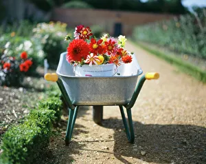 Landscapes/english gardens walled kitchen gardens/gardening k031515 Landscapes/english gardens walled kitchen gardens/gardening k031515