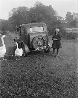 Cars Collection: Girl, car and swans EGP_22663_009