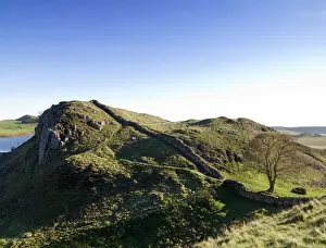 Hadrian's Wall Prints: Hadrian's Wall Print: Sycamore Gap View