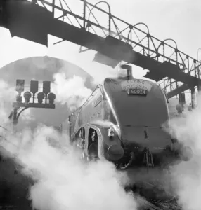 Prints of KINGFISHER. View of the LNER Class A4 train during its time on the Flying Scotsman express passenger service between London and Edinburgh. Photographed by John Gay, 1948 Iconic Photographers of England - Historic Image Collections: Kingfisher Steam Train Print