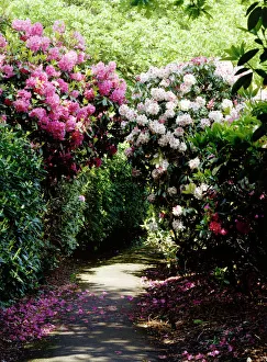 Landscapes/english gardens gardens/kenwood house gardens k000654 Landscapes/english gardens gardens/kenwood house gardens k000654