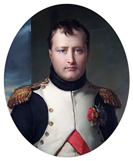 Historic/battles battle waterloo/lefevre napoleon bonaparte n070490 Historic/battles battle waterloo/lefevre napoleon bonaparte n070490
