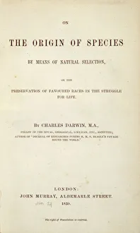 Fame/charles darwin house darwins scientific research/origin species k970323 Fame/charles darwin house darwins scientific research/origin species k970323