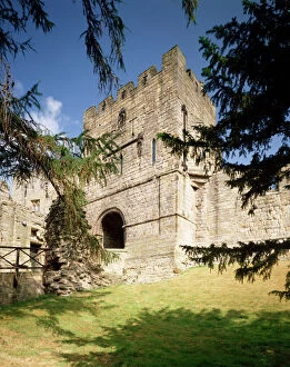 Images Dated 7th March 2008: Prudhoe Castle J920472