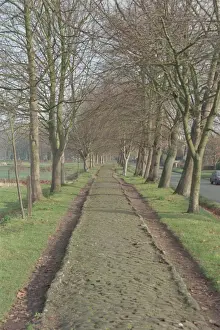 Print of Raised Causeway, Steventon, Oxfordshire