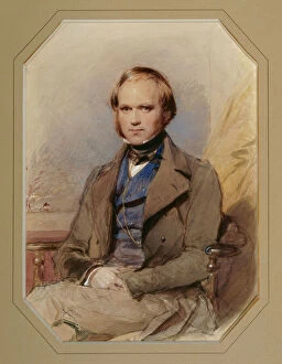 Paintings Collection: Richmond - Charles Darwin J980057