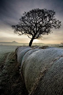 Roseberry Topping from Morton Carr N100025 Roseberry Topping from Morton Carr N100025