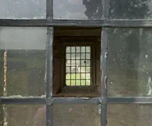 Summerhouse Window Detail Print, Hamsterley Hall