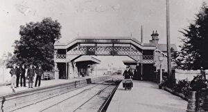 Albrighton Collection: Albrighton Station, Shropshire, c. 1900