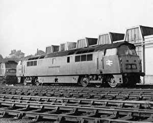D1017 Western Warrior - Western Class Diesel Hydraulic Locomotive D1017 Western Warrior - Western Class Diesel Hydraulic Locomotive