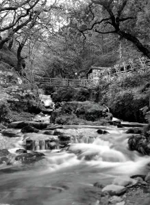Cherry Bridge Print, Lyn Valley, Devon