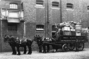 Horse Drawn Delivery Wagon at Paddington Mint Stables, c.1910 Horse Drawn Delivery Wagon at Paddington Mint Stables, c.1910