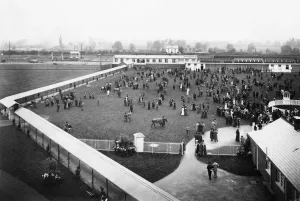 GWR Museum STEAM Prints: Newbury Racecourse Station, September 1905