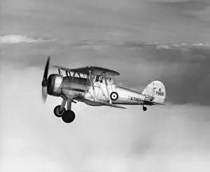 Gloster Gladiator of 87 Squadron Gloster Gladiator of 87 Squadron