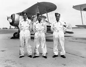 Aerobatics Collection: Lorimer, Feeny and Dewdney of 87 Squadron