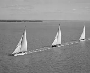 Transport Collection: Racing Yachts