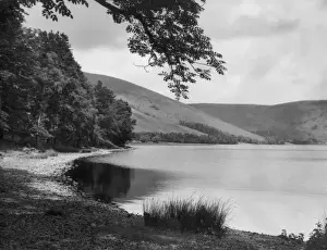 Peaceful Lake Scene Prints: 10185379