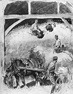 Rural Life Prints: -