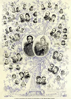 1887 Jubilee genealogical tree of Queen Victoria 1887 Jubilee genealogical tree of Queen Victoria