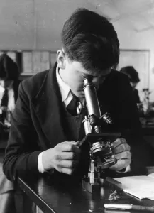 1950s Childhood Prints: 1950s Boy Examining Microscope Print