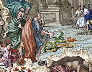 Aaron throwing her stick, which became in serpent. Colored Aaron throwing her stick, which became in serpent. Colored
