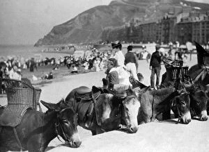 Aberystwyth Collection: Aberystwyth donkeys on the beach, Wales