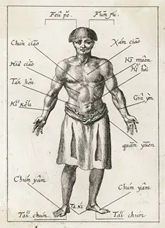 Alternative Medicine Prints: Print of 17th Century Acupuncture Diagram