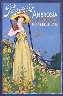 Early 20th Century Food Ads Prints: Advert / Devonshire Choc