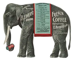 Elephant Coffee Print, French Roast
