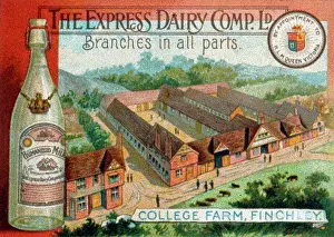 Late 19th Century Print: Express Dairy Co Ltd Advertisement