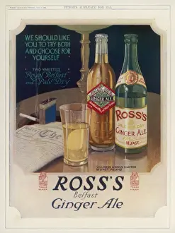 Print of a Ginger Ale Bottle
