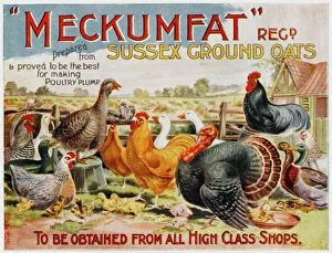 Advertisement for Meckumfat Sussex Ground Oats Advertisement for Meckumfat Sussex Ground Oats