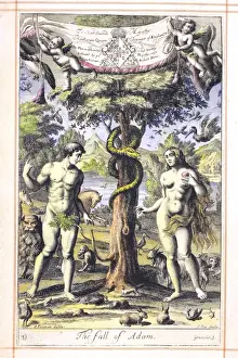 Biblical Scene Illustration Prints: Adam and the serpent