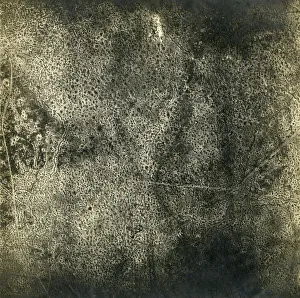 Aerial photograph of Bayernschloss, Germany, WW1 Aerial photograph of Bayernschloss, Germany, WW1
